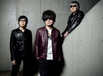 the pillows
